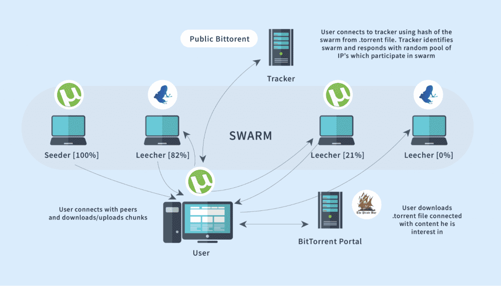 IP address in torrent swarm